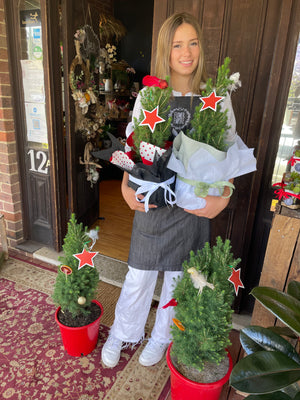 A potted Christmas tree is a delight during the festive season. Just the right size to display In the home or workplace. Available gift wrapped in hessian or festive wrap. Please note - trees may vary due to seasonal availability. 