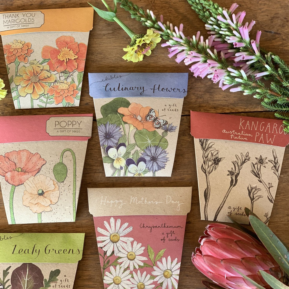 
                
                    Load image into Gallery viewer, Sow n Sow - eco friendly seed cards
                
            